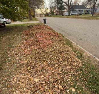 Fall leaf pile at the curb ready for yard cleanup and haul-away