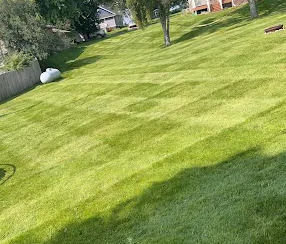 Sloped lawn with clean mowing stripes and a neat finish