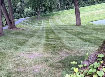 Mowed lawn with stripe pattern and tree shade