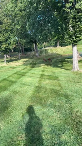 Fresh mowing stripes across a yard near trees